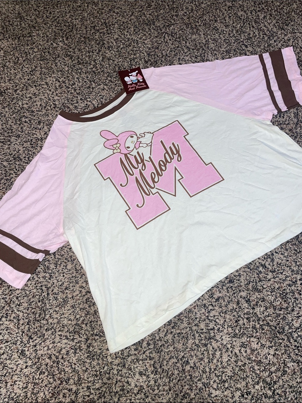 Hello Kitty Graphic Tee Woman’s Plus Size 2X NWT